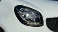 smart forTwo Cabrio DCT WHITE & BLACK EDITION! Weiß - thumbnail 22