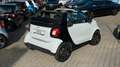 smart forTwo Cabrio DCT WHITE & BLACK EDITION! Weiß - thumbnail 18