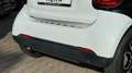 smart forTwo Cabrio DCT WHITE & BLACK EDITION! Weiß - thumbnail 17