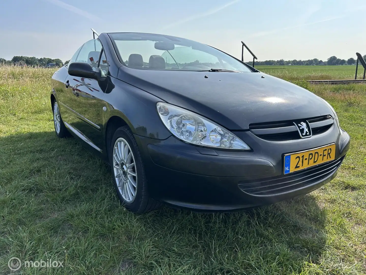 Peugeot 307 CC 2.0-16V AUTOMAAT LEER NIEUWE APK AIRCO INRUILKO Negro - 2