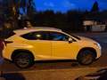 Lexus NX 300h NX 300h Weiß - thumbnail 3