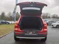 Volvo XC40 B3 Benzin Plus Bright LED LenkHz. NAVI Rojo - thumbnail 5