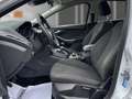 Ford Focus Lim. Titanium+RFK+XENON+NAVI+KLIMAAUTO Weiß - thumbnail 12