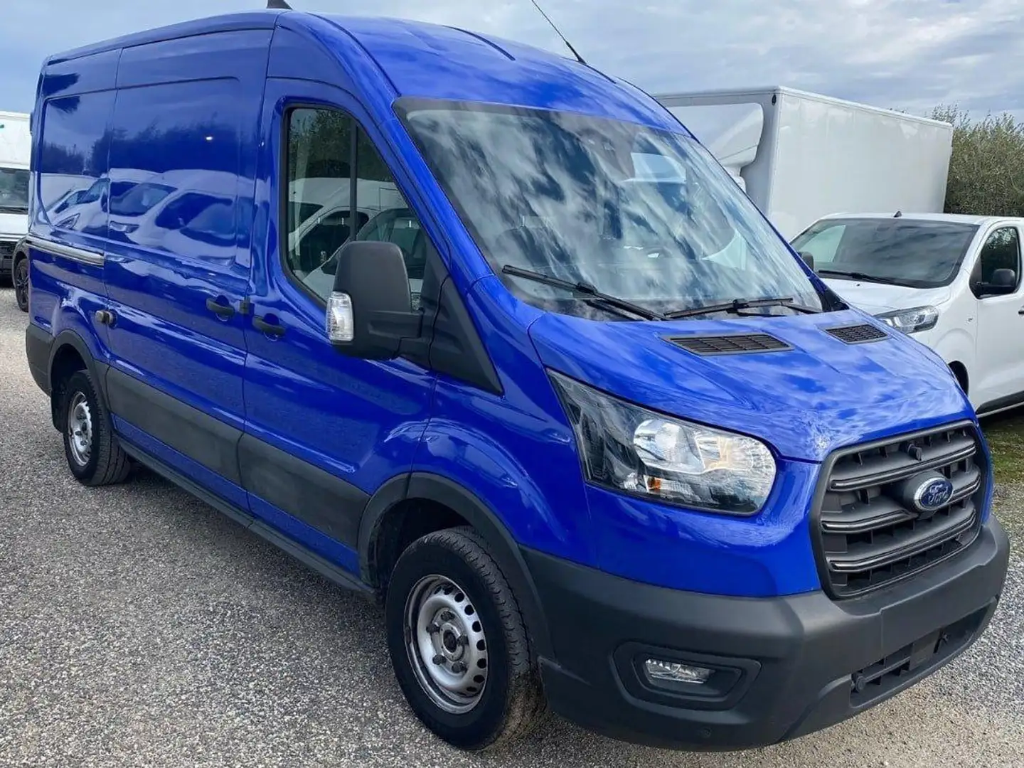 Ford Transit 290 2.0 tdci MHEV 130cv trend L2H2 E6.2 Blu/Azzurro - 1
