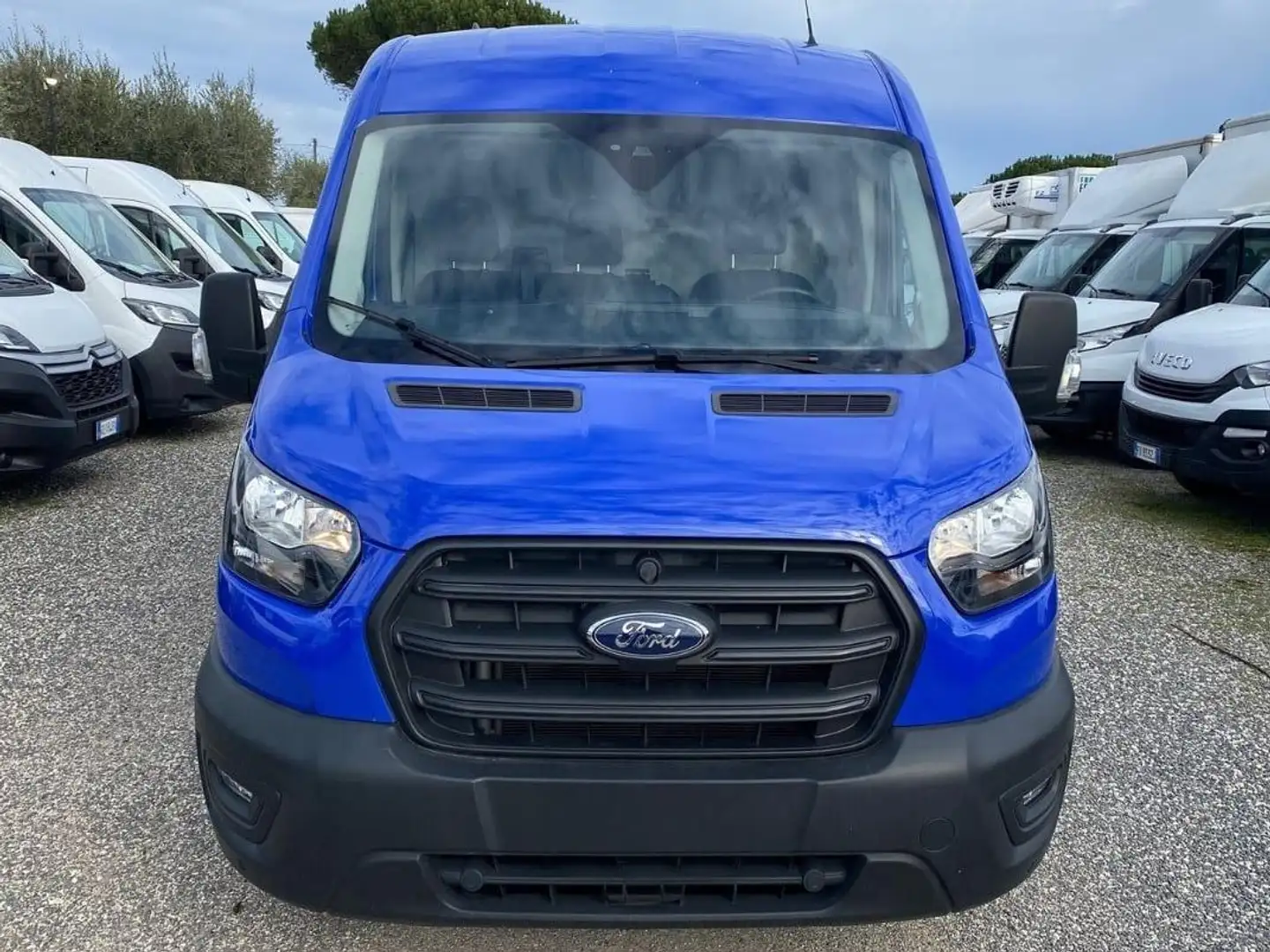 Ford Transit 290 2.0 tdci MHEV 130cv trend L2H2 E6.2 Blu/Azzurro - 2