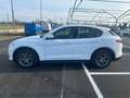 Alfa Romeo Stelvio Stelvio 2.2 t Executive Q4 190cv auto my19 FX447SP Blanc - thumbnail 3