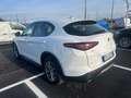 Alfa Romeo Stelvio Stelvio 2.2 t Executive Q4 190cv auto my19 FX447SP Blanc - thumbnail 4