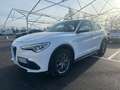 Alfa Romeo Stelvio Stelvio 2.2 t Executive Q4 190cv auto my19 FX447SP Blanc - thumbnail 2