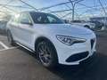 Alfa Romeo Stelvio Stelvio 2.2 t Executive Q4 190cv auto my19 FX447SP Blanc - thumbnail 8