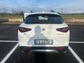 Alfa Romeo Stelvio Stelvio 2.2 t Executive Q4 190cv auto my19 FX447SP Blanc - thumbnail 5