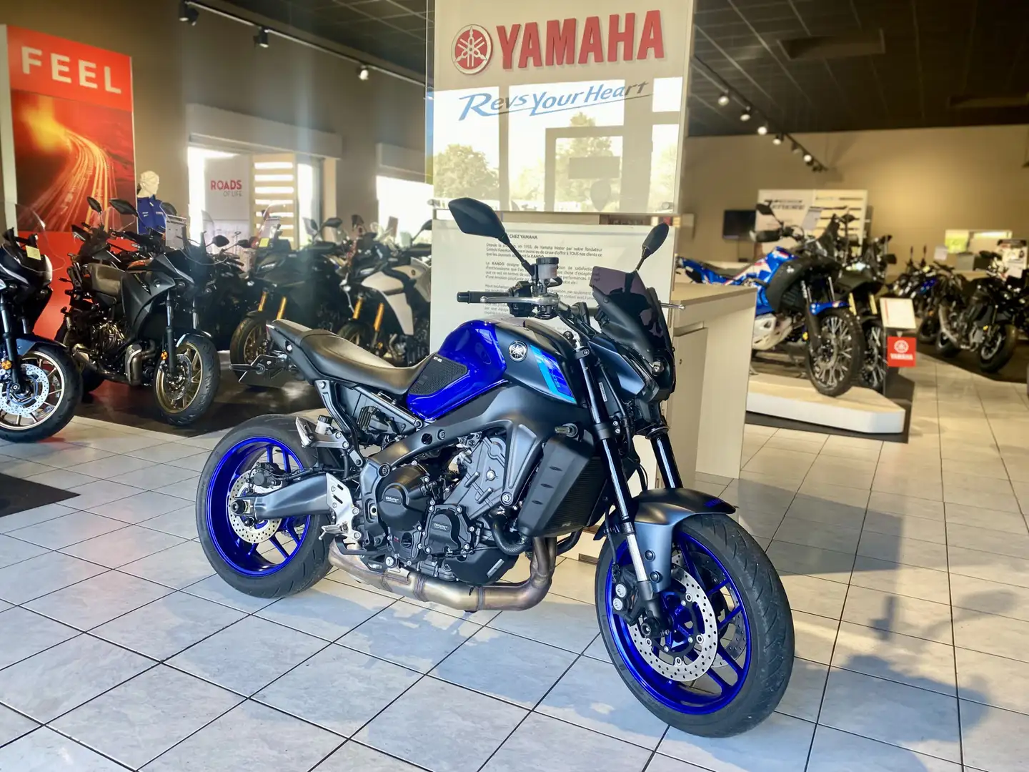 Yamaha MT-09 Bleu - 2