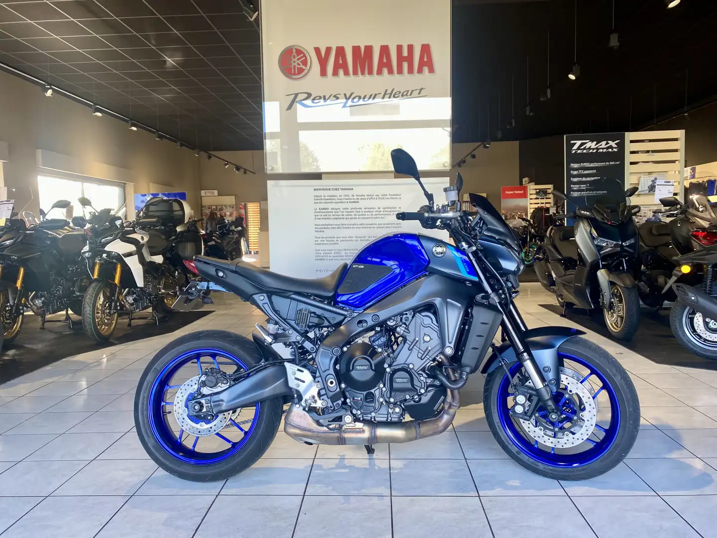 Yamaha MT-09 Bleu - 1
