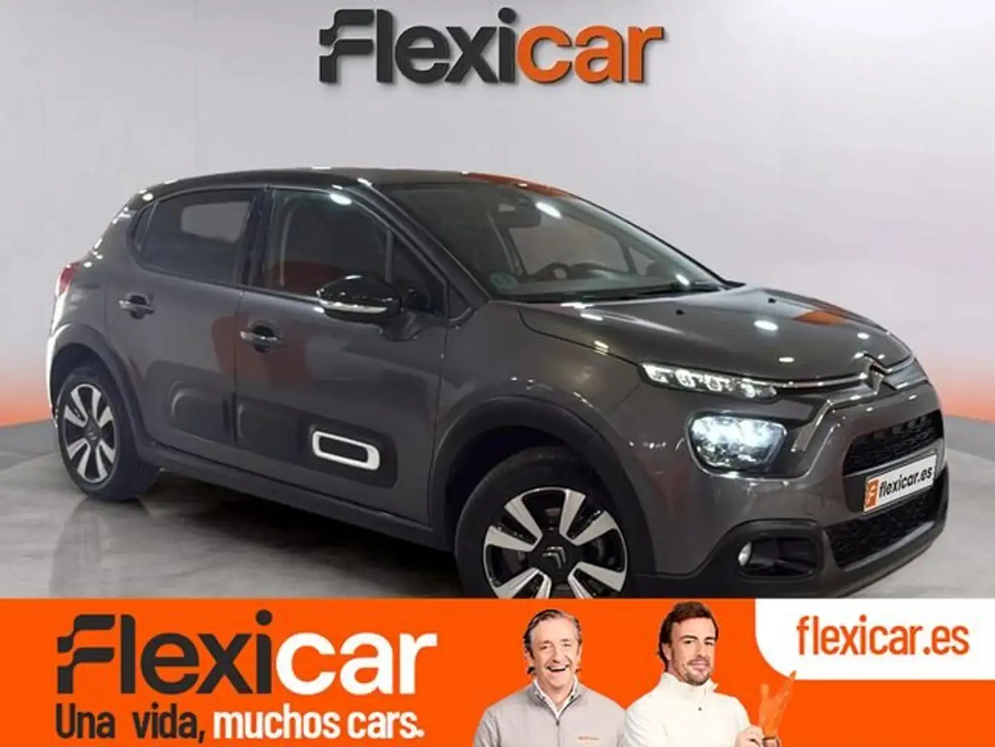 Citroen C3 PureTech 100 You Gris - 1