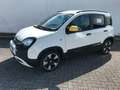 Fiat Panda 1.0 GSE Pandina Hybrid Cross Weiß - thumbnail 2