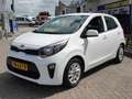 Kia Picanto 1.0 CVVT ComfortPlusLine Navigator NAVI | CAMERA | Bianco - thumbnail 12