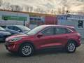 Ford Kuga 2.5 Plug-In Hybrid Titanium|1.Hand|Navi Red - thumbnail 7