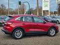 Ford Kuga 2.5 Plug-In Hybrid Titanium|1.Hand|Navi Red - thumbnail 13