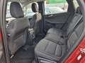 Ford Kuga 2.5 Plug-In Hybrid Titanium|1.Hand|Navi Red - thumbnail 26