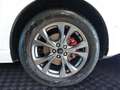 Ford Kuga 2.5 PHEV ST-LINE X *Adp.LED*ACC*Kameras* Blanc - thumbnail 16