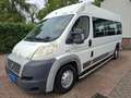 Fiat Ducato 3.0CNG 7-PERSOONS 2995.- INCL BTW ROLSTOELVERVOER Blanc - thumbnail 1