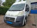 Fiat Ducato 3.0CNG 7-PERSOONS 2995.- INCL BTW ROLSTOELVERVOER Blanc - thumbnail 2