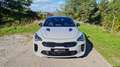 Kia Stinger 3.3 T-GDI AWD GT Pano Erstbesitz Grau - thumbnail 8