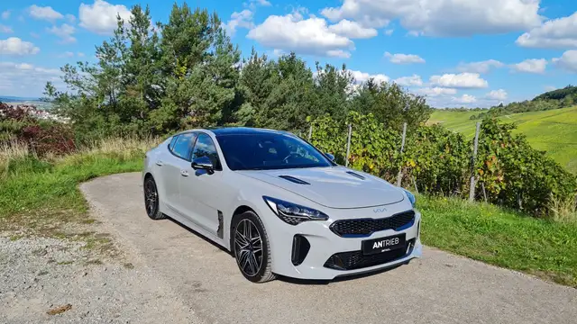 Kia Stinger 3.3 T-GDI AWD GT Pano Erstbesitz