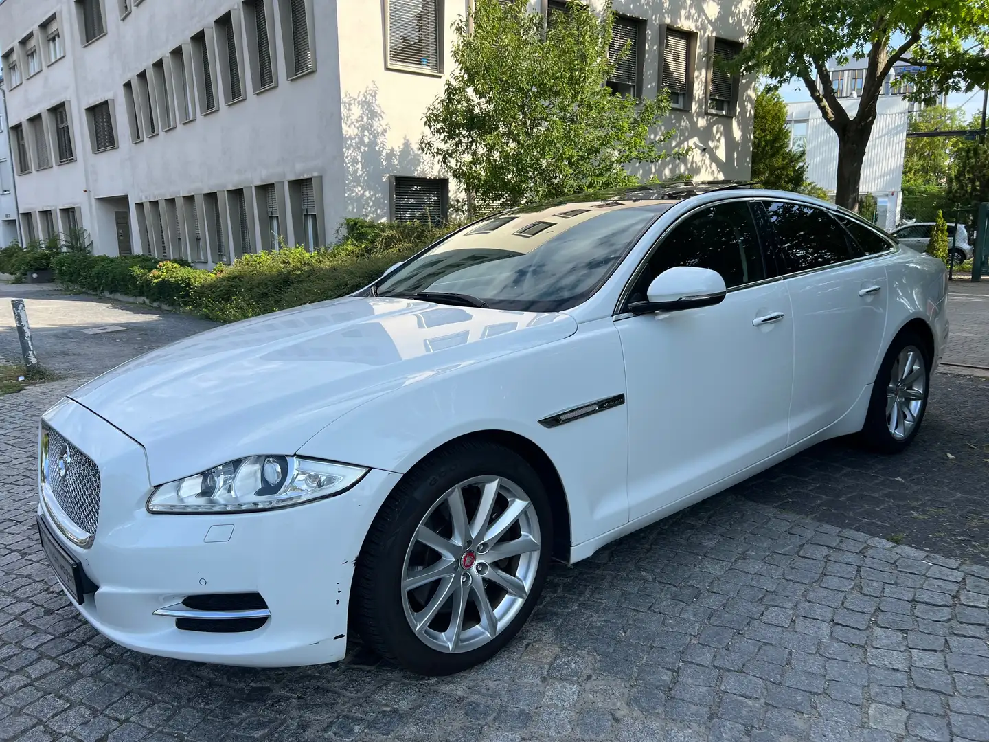 Jaguar XJ Premium Luxury Weiß - 2