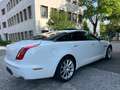 Jaguar XJ Premium Luxury Weiß - thumbnail 8
