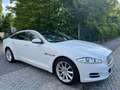 Jaguar XJ Premium Luxury Weiß - thumbnail 4