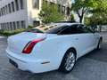 Jaguar XJ Premium Luxury Weiß - thumbnail 7