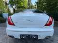 Jaguar XJ Premium Luxury Weiß - thumbnail 6
