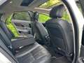 Jaguar XJ Premium Luxury Weiß - thumbnail 18