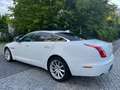 Jaguar XJ Premium Luxury Weiß - thumbnail 5