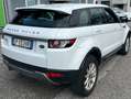 Land Rover Range Rover Evoque 87.500 KM!!! Bianco - thumbnail 6