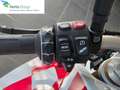 BMW F 900 R Sport Bianco - thumbnail 9