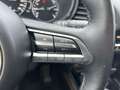 Mazda CX-30 2.0 e-SkyActiv-G M Hybrid Luxury / Bose / Leder / Grijs - thumbnail 10