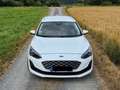Ford Focus Turnier Vignale Automatik Weiß - thumbnail 7