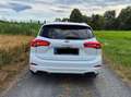 Ford Focus Turnier Vignale Automatik Weiß - thumbnail 9