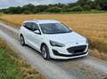 Ford Focus Turnier Vignale Automatik Weiß - thumbnail 6