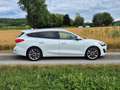Ford Focus Turnier Vignale Automatik Weiß - thumbnail 3