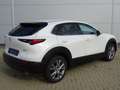 Mazda CX-30 2.0l Skyactiv-X Centre-Line Design-Paket Matrix-LE Weiß - thumbnail 2
