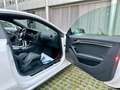 Audi RS5 4.2 FSI *Schalensitz*B&O*Voll*netto 26.723€ Weiß - thumbnail 12