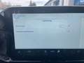 Ford Transit Custom Tourneo Custom Titanium X L2H1 2.0 Ecoblue Grau - thumbnail 19