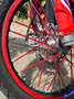 Beta RR 50 RR 50 Racing 2024 Rot - thumbnail 7