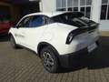 Alfa Romeo Junior Junior Ibrida Junior 1.2 MHEV e-DCT6 Junior Weiß - thumbnail 14