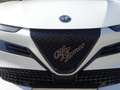 Alfa Romeo Junior Junior Ibrida Junior 1.2 MHEV e-DCT6 Junior Weiß - thumbnail 12