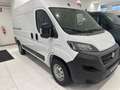 Fiat Ducato eDucato 35 122CV PM-TM Furgone battery 47kWh Bianco - thumbnail 1