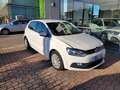 Volkswagen Polo Polo V 2014 5p 1.4 tdi bm Comfortline 90cv Bianco - thumbnail 8