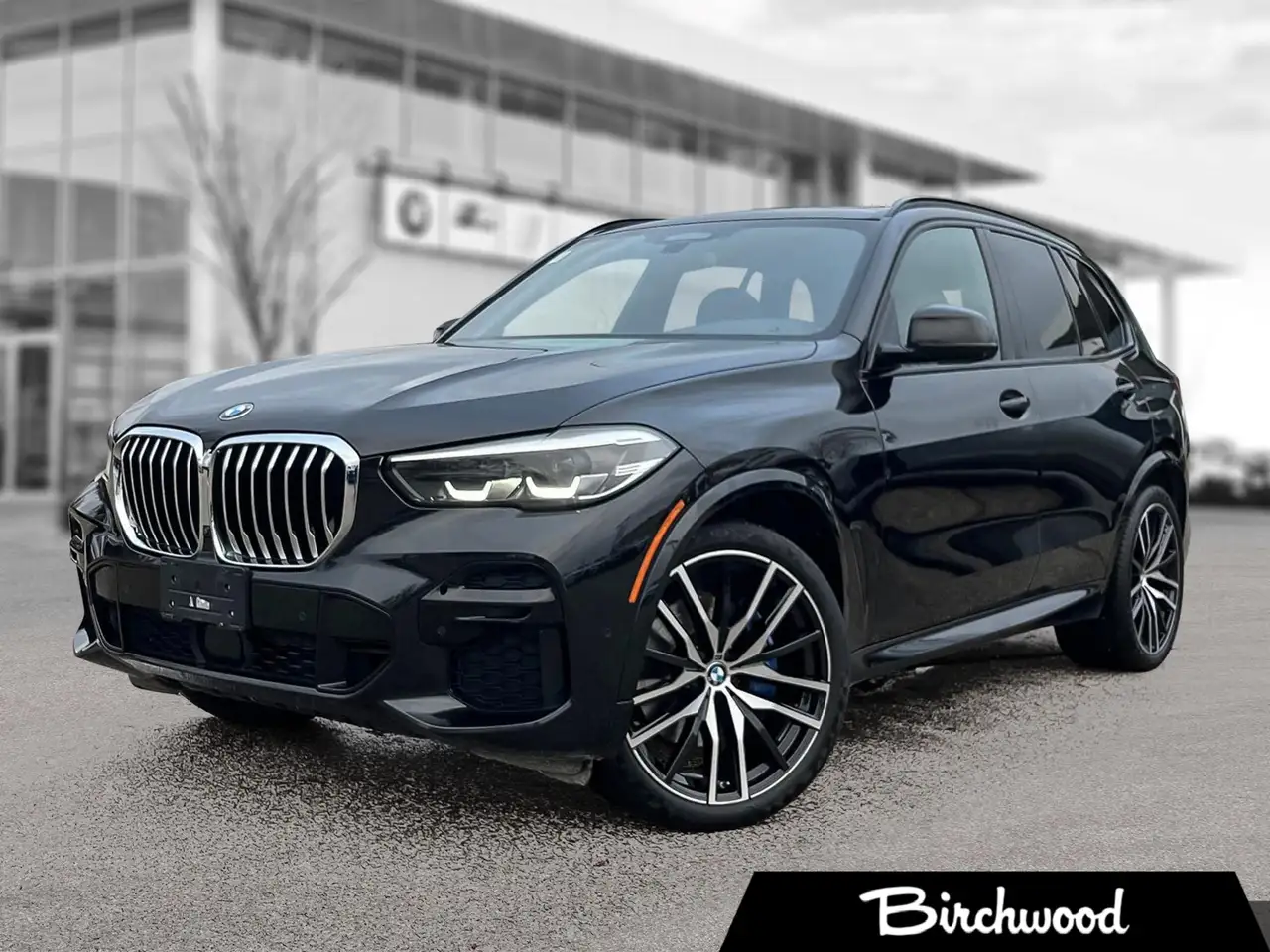 2022 BMW X5